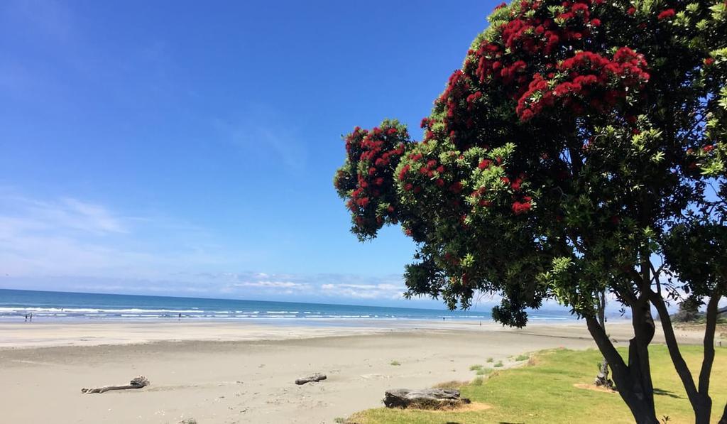 Whakatane Hotel Exterior foto